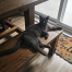{petName}, a Grey Domestic Shorthair Cat