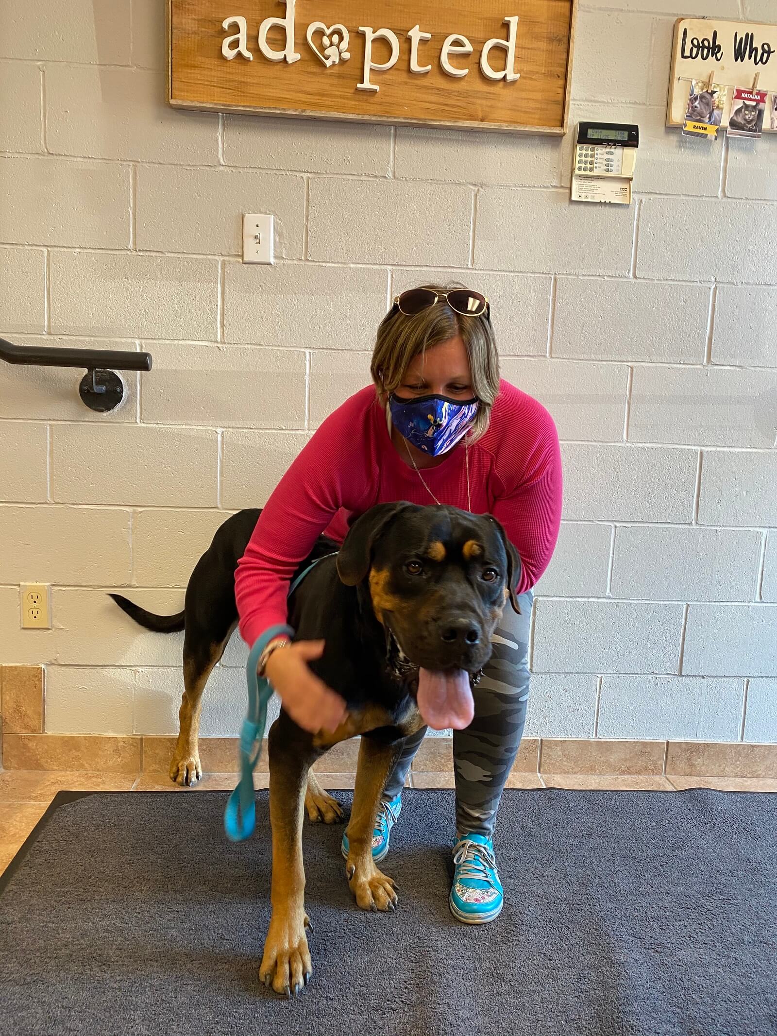 Pet licensing in Peterborough Safe&Happy Fund